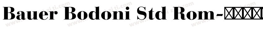 Bauer Bodoni Std Rom字体转换